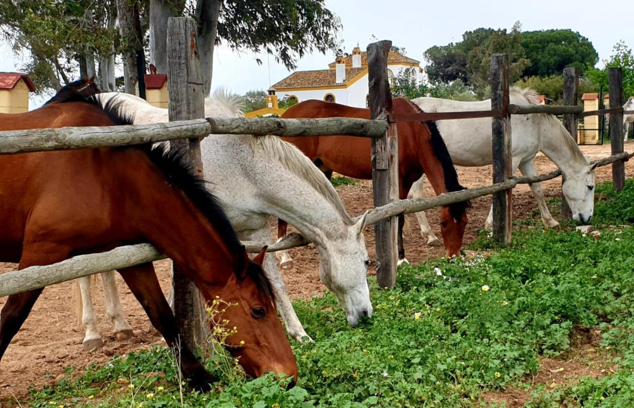 Posada Rural La Corbera 乌特雷拉 外观 照片