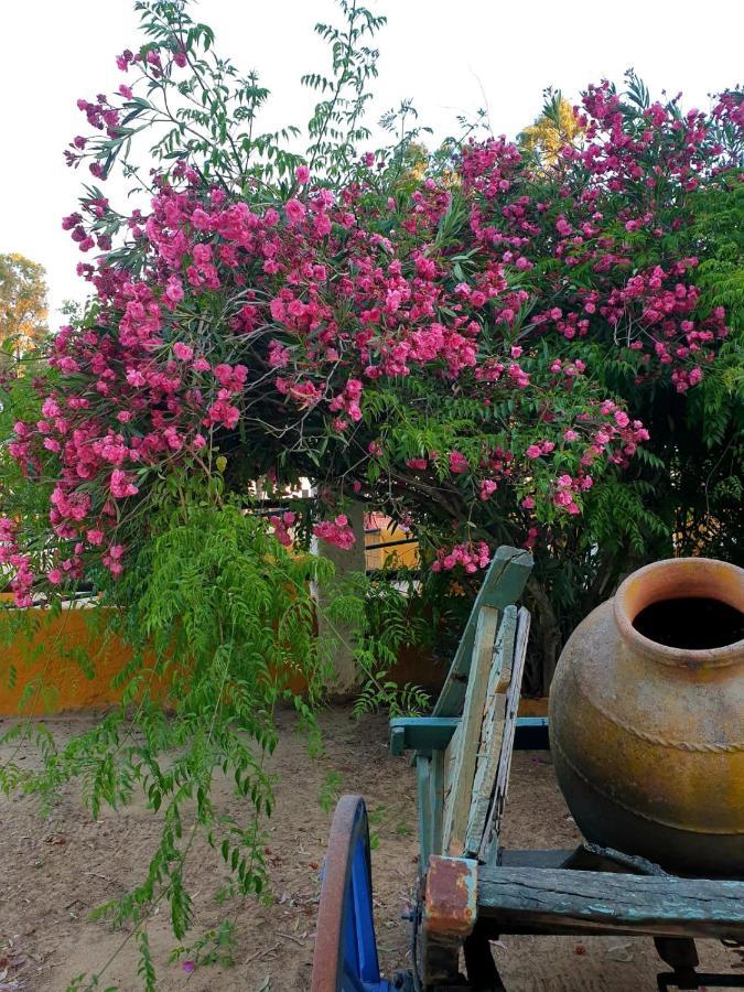 Posada Rural La Corbera 乌特雷拉 外观 照片