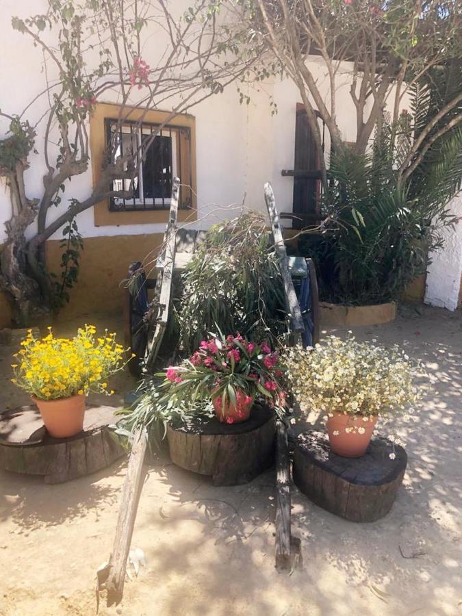 Posada Rural La Corbera 乌特雷拉 外观 照片
